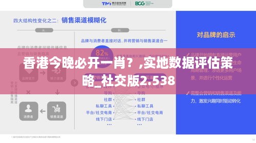 香港今晚必开一肖？,实地数据评估策略_社交版2.538