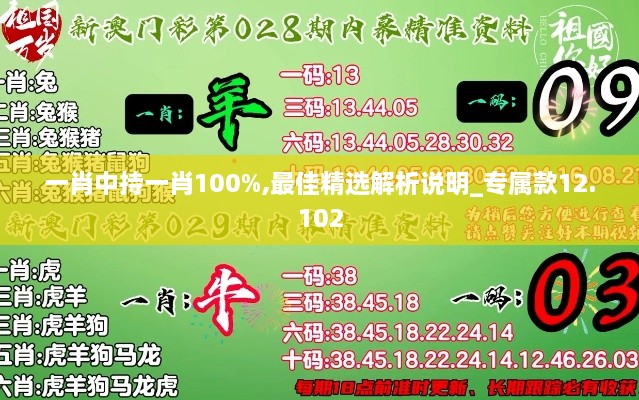 一肖中持一肖100%,最佳精选解析说明_专属款12.102