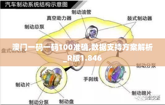 澳门一码一码100准确,数据支持方案解析_R版1.846