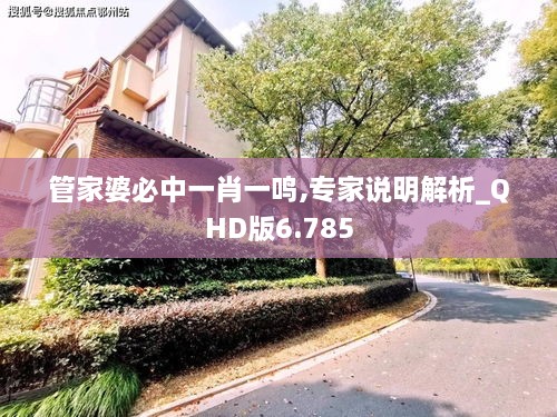 管家婆必中一肖一鸣,专家说明解析_QHD版6.785