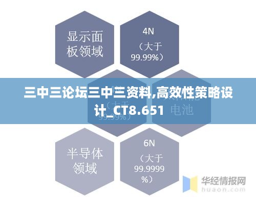 三中三论坛三中三资料,高效性策略设计_CT8.651