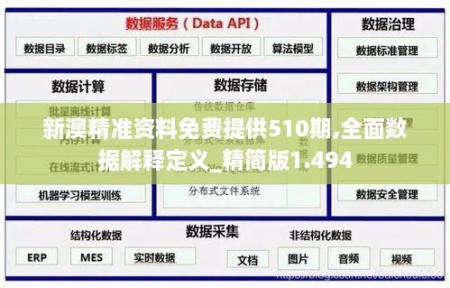 新澳精准资料免费提供510期,全面数据解释定义_精简版1.494