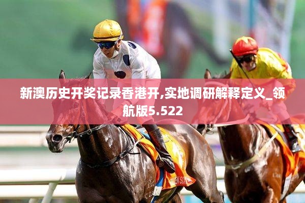 新澳历史开奖记录香港开,实地调研解释定义_领航版5.522