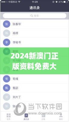 2024新澳门正版资料免费大全,精细设计解析_iPhone10.467