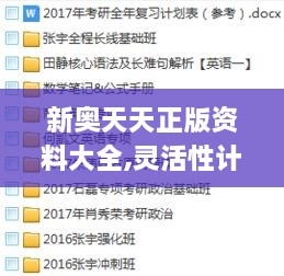 新奥天天正版资料大全,灵活性计划实施_YE版2.314