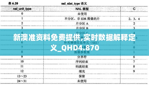 新澳准资料免费提供,实时数据解释定义_QHD4.870