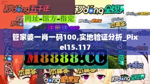 管家婆一肖一码100,实地验证分析_Pixel15.117