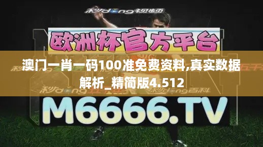 澳门一肖一码100准免费资料,真实数据解析_精简版4.512