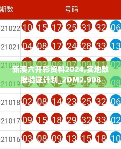 新澳六开彩资料2024,实地数据验证计划_2DM2.908