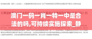 澳门一码一肖一特一中是合法的吗,可持续实施探索_静态版13.211