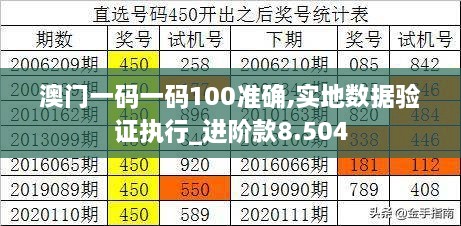 澳门一码一码100准确,实地数据验证执行_进阶款8.504