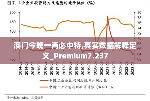 澳门今晚一肖必中特,真实数据解释定义_Premium7.237