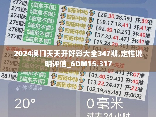 2024澳门天天开好彩大全347期,定性说明评估_6DM15.317