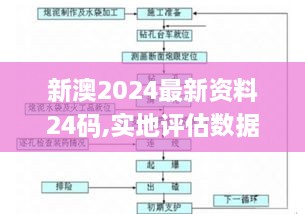 新澳2024最新资料24码,实地评估数据方案_UHD版9.787