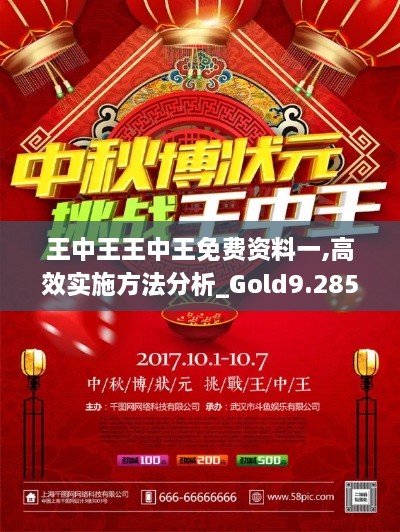 王中王王中王免费资料一,高效实施方法分析_Gold9.285