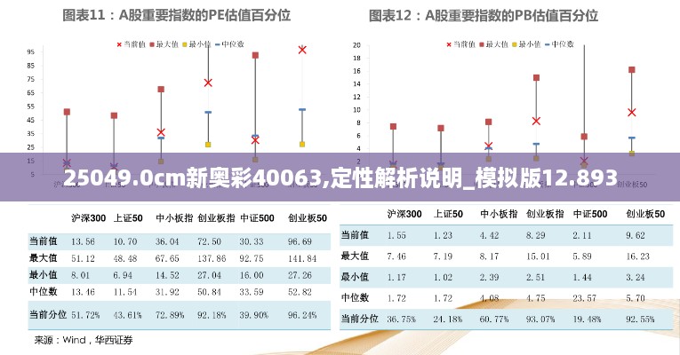 25049.0cm新奥彩40063,定性解析说明_模拟版12.893