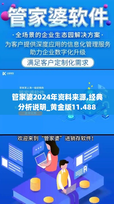 管家婆2024年资料来源,经典分析说明_黄金版11.488