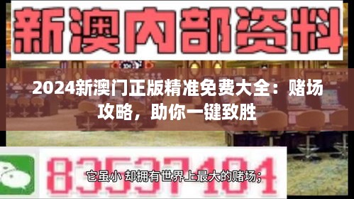 2024新澳门正版精准免费大全：赌场攻略，助你一键致胜