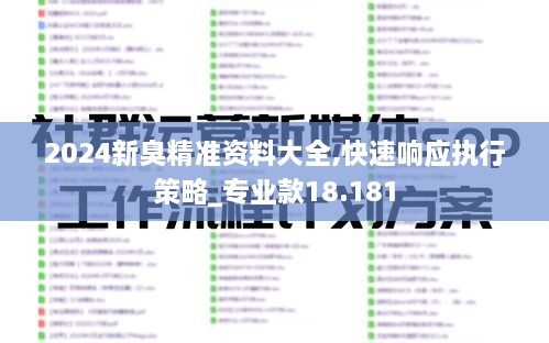 2024新臭精准资料大全,快速响应执行策略_专业款18.181