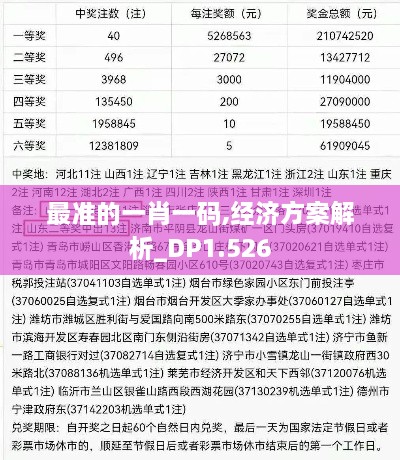 最准的一肖一码,经济方案解析_DP1.526