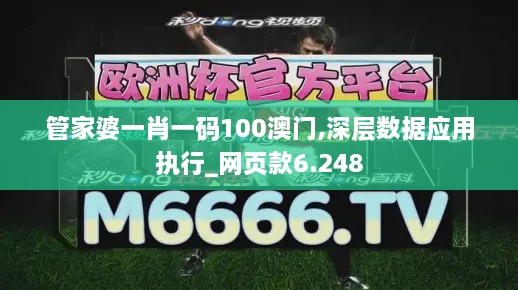 管家婆一肖一码100澳门,深层数据应用执行_网页款6.248