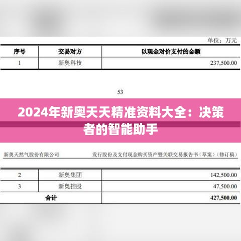 2024年新奥天天精准资料大全：决策者的智能助手