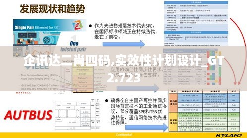 企讯达二肖四码,实效性计划设计_GT2.723