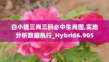 白小姐三肖三码必中生肖图,实地分析数据执行_Hybrid6.905