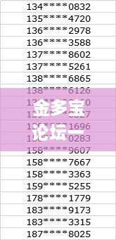 金多宝论坛一码资料大全,统计解答解释定义_限量款3.997
