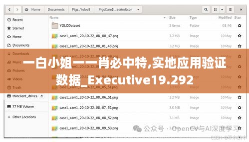 一白小姐一一肖必中特,实地应用验证数据_Executive19.292