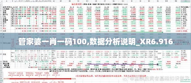 管家婆一肖一码100,数据分析说明_XR6.916