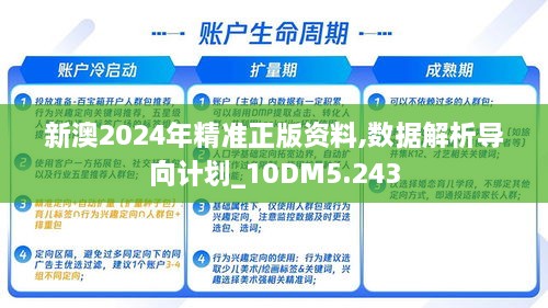 新澳2024年精准正版资料,数据解析导向计划_10DM5.243