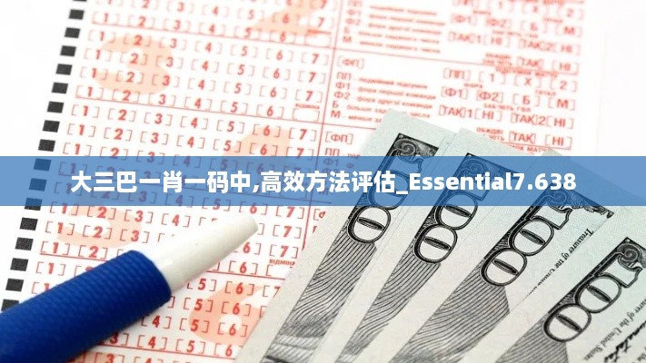 大三巴一肖一码中,高效方法评估_Essential7.638