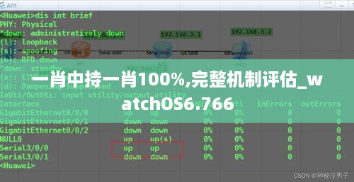 一肖中持一肖100%,完整机制评估_watchOS6.766