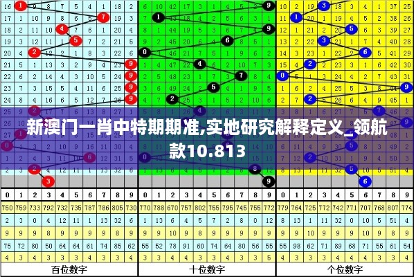 新澳门一肖中特期期准,实地研究解释定义_领航款10.813