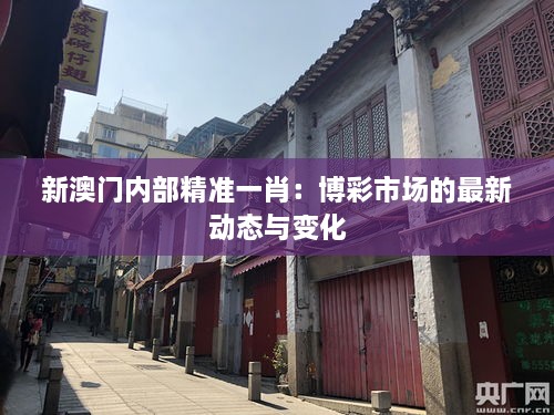 新澳门内部精准一肖：博彩市场的最新动态与变化