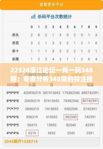 22324濠江论坛一肖一码348期：专家分析348期的投注技巧