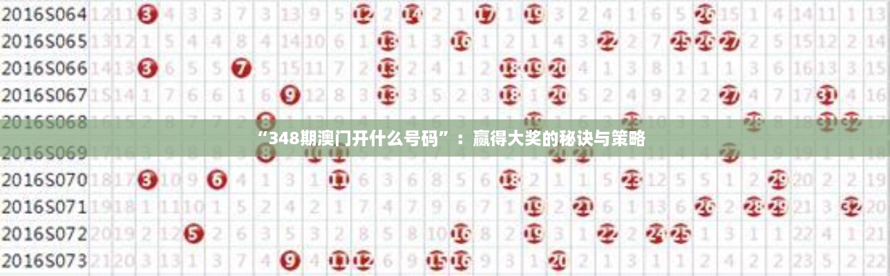 “348期澳门开什么号码”：赢得大奖的秘诀与策略