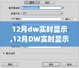 12月DW实时显示设置步骤指南，轻松掌握实时更新功能