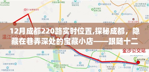 跟随成都公交220路，探寻巷弄深处的宝藏美食之旅