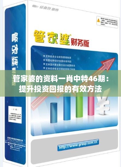 管家婆的资料一肖中特46期：提升投资回报的有效方法