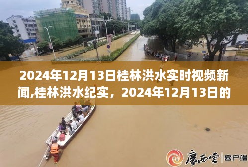 桂林洪水冲击纪实，2024年12月13日的洪水冲击与影响