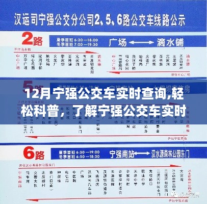 宁强公交车实时查询系统详解，轻松科普指南（12月版）