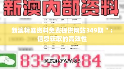 新澳精准资料免费提供网站349期＂：信息获取的高效性