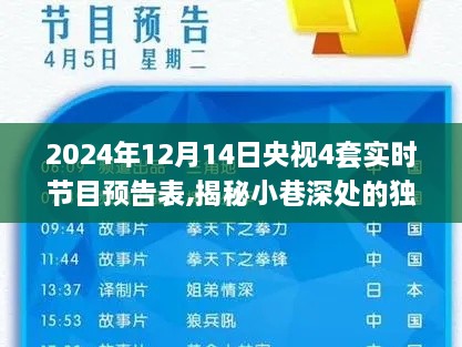 央视节目预告揭秘，小巷深处的独特风味与隐藏特色小店（2024年12月14日节目预告）