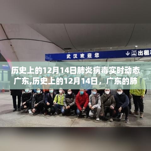 广东肺炎病毒实时动态与心灵风景之旅，历史12月14日的回顾与记录