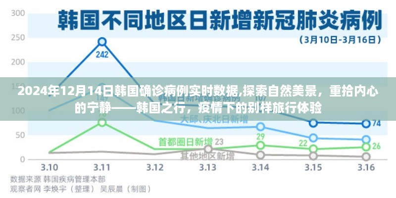 韩国疫情实时数据下的别样旅行体验，探索自然美景，重拾内心宁静的韩国之行