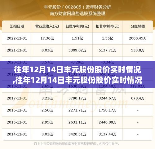 往年12月14日丰元股份股价实时动态与全面评测报告