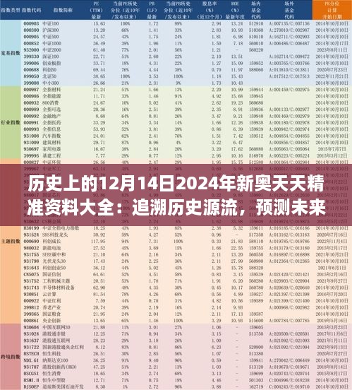 2024年12月14日 第11页