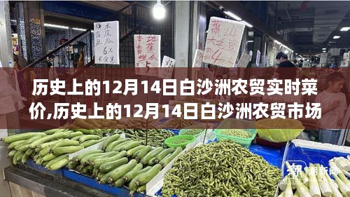 历史上的12月14日白沙洲农贸菜价奇迹，学习变化，自信成就梦想之路